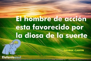 Frase del día Elefante Azul Valdepeñas