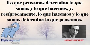 Frase del día Elefante Azul Valdepeñas