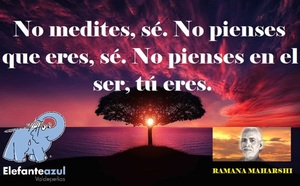 Frase del día Elefante Azul Valdepeñas