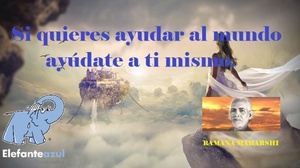 Frase del día Elefante Azul Valdepeñas