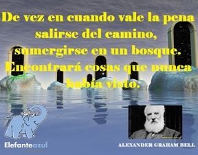 Frase del día Elefante Azul Valdepeñas