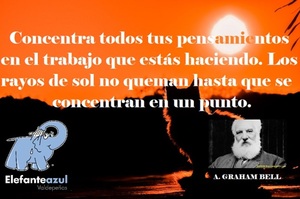Frase del día Elefante Azul Valdepeñas