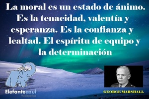 Frase del día Elefante Azul Valdepeñas