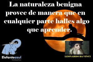 Frase del día Elefante Azul Valdepeñas