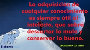 Frase del día Elefante Azul Valdepeñas
