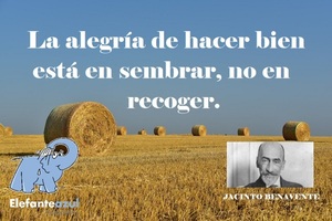 Frase del día Elefante Azul Valdepeñas