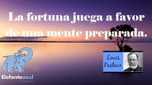 Frase del día Elefante Azul Valdepeñas
