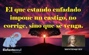 Frase del día Elefante Azul Valdepeñas