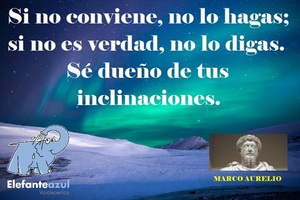 Frase del día Elefante Azul Valdepeñas
