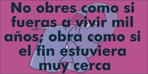 Frase del día Elefante Azul Valdepeñas