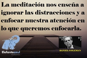 Frase del día Elefante Azul Valdepeñas