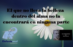 Frase del día Elefante Azul Valdepeñas