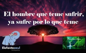 Frase del día Elefante Azul Valdepeñas.