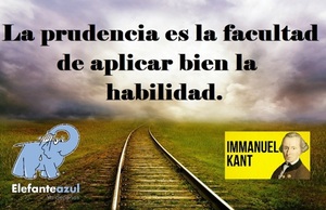 Frase del día Elefante Azul Valdepeñas