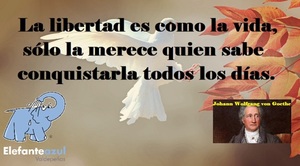 Frase del día Elefante Azul Valdepeñas