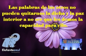 Frase del día Elefante Azul Valdepeñas
