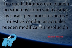 Frase del día Elefante Azul Valdepeñas
