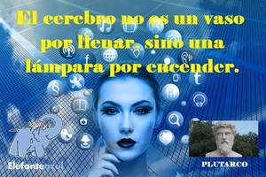 Frase del día Elefante Azul Valdepeñas