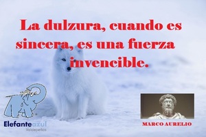Frase del día Elefante Azul Valdepeñas