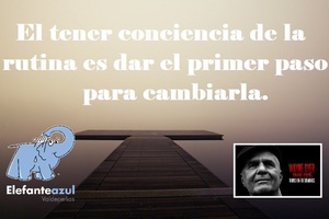 Frase del día Elefante Azul Valdepeñas