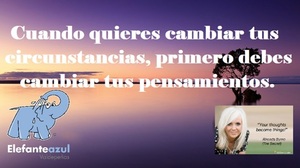Frase del día Elefante Azul Valdepeñas