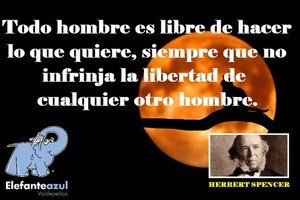 Frase del día Elefante Azul Valdepeñas
