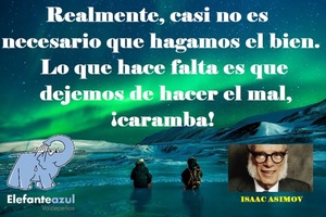 Frase del día