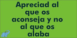 Frase del día Elefante Azul Valdepeñas
