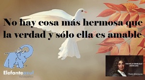 Frase del día Elefante Azul Valdepeñas