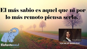 Frase del día Elefante Azul Valdepeñas