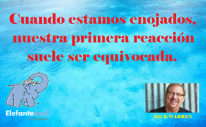 Frase del día Elefante Azul Valdepeñas