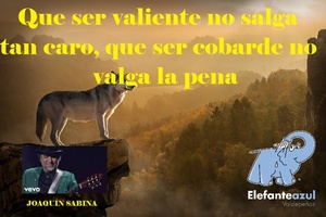 Frase del día Elefante Azul Valdepeñas