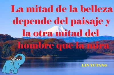 Frase del día Elefante Azul Valdepeñas