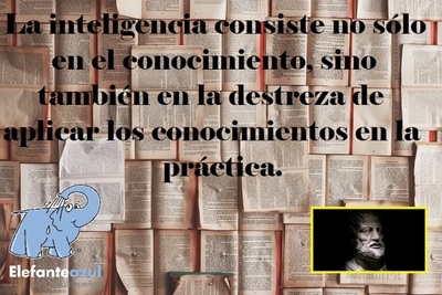 Frase del día Elefante Azul Valdepeñas