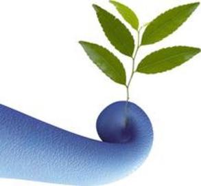 Elefante Azul y el Medio Ambiente 2014