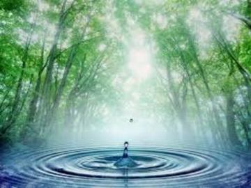 Agua